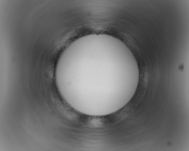 X0000112520710200909071333
