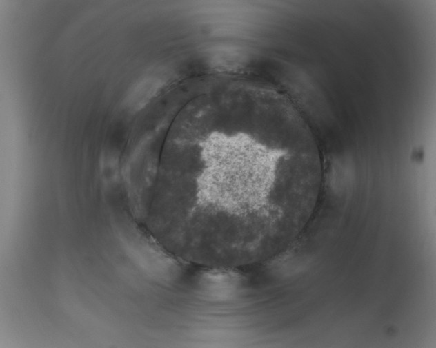 X0000112520712200909071333