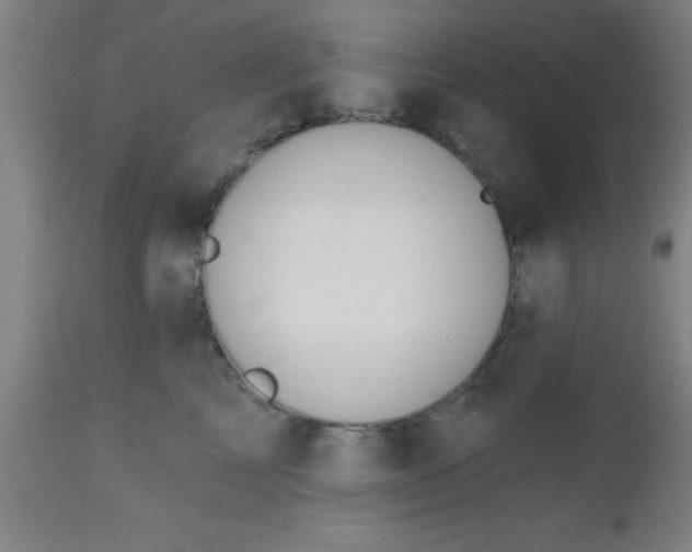 X0000112520713200909071333