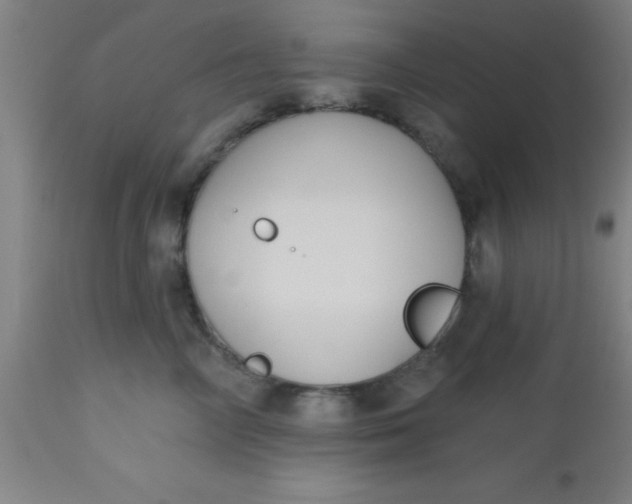 X0000112520714200909071333