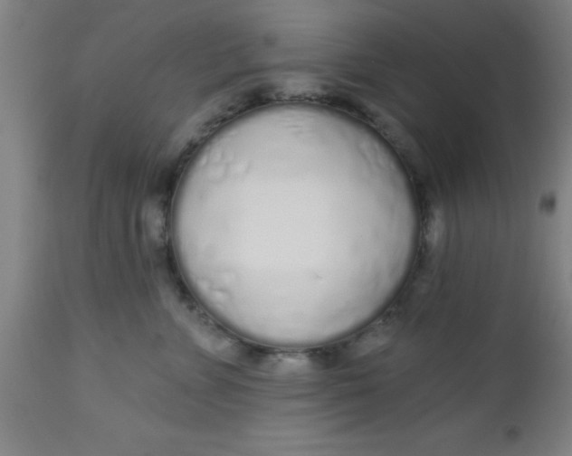 X0000112520715200909071333