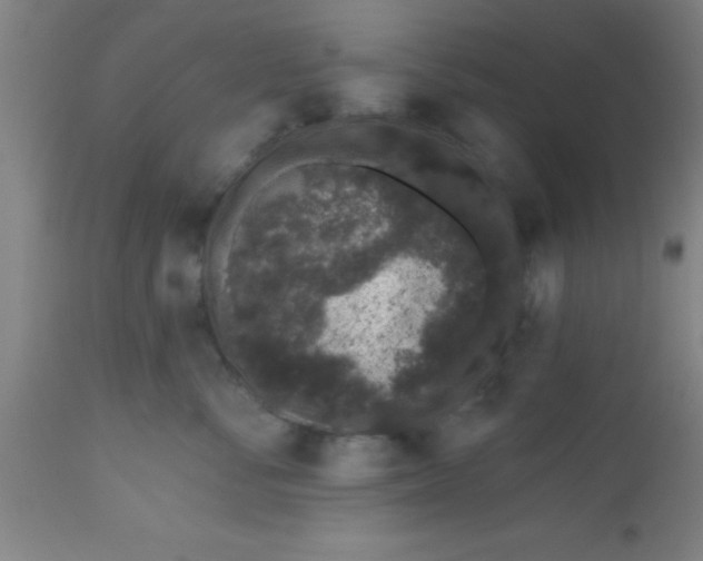 X0000112520716200909071333