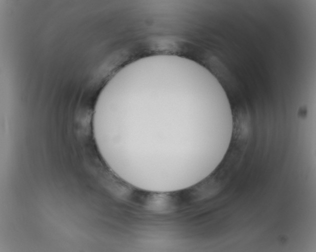 X0000112520717200909071333