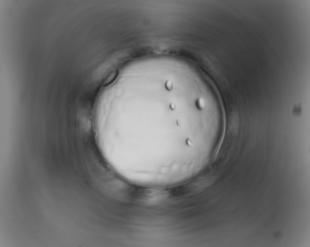 X0000112520719200909071333