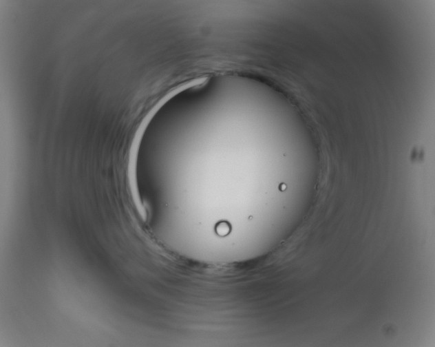 X0000112520720200909071333