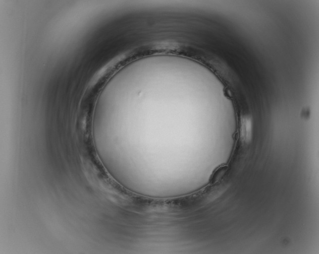 X0000112520723200909071332
