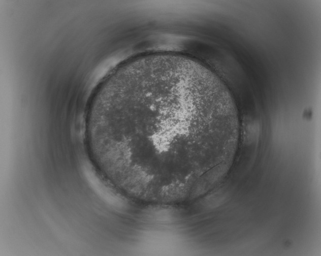 X0000112520726200909071332