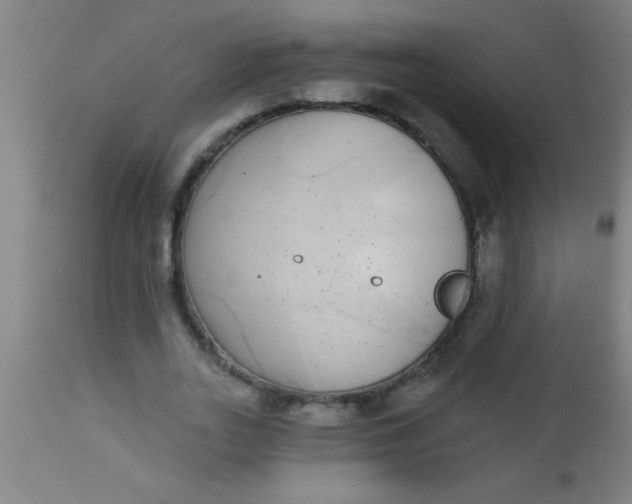 X0000112520727200909071333