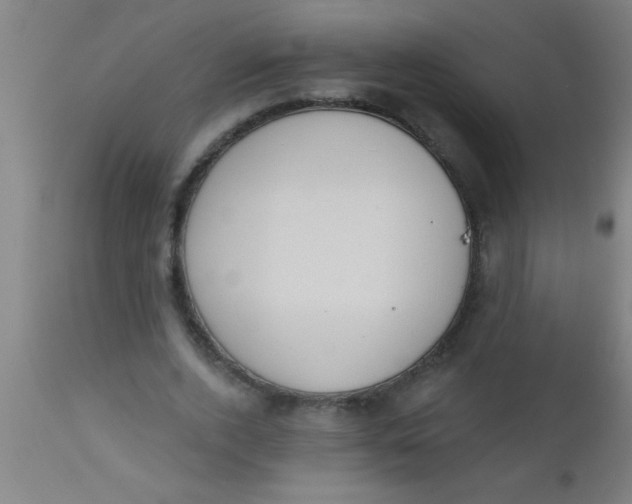 X0000112520728200909071333