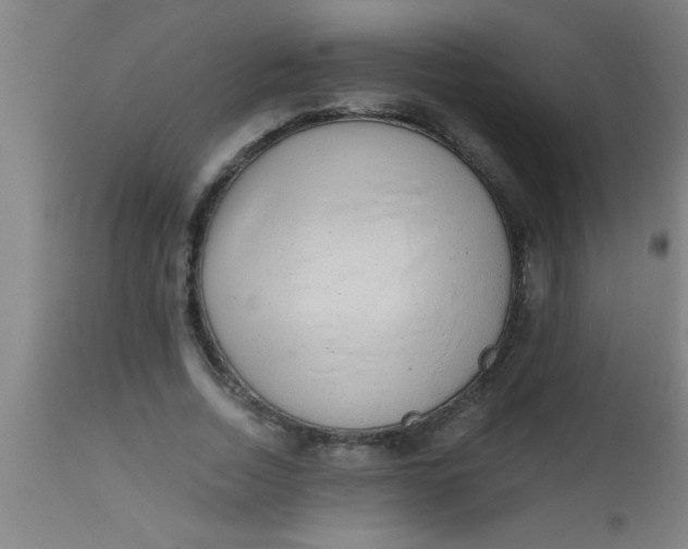 X0000112520730200909071333