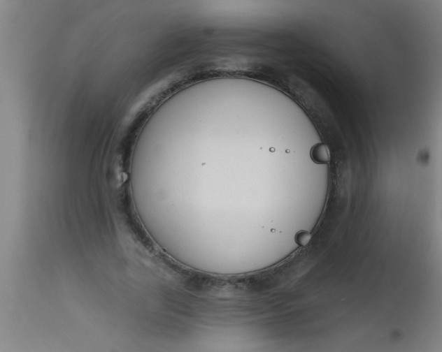 X0000112520731200909071333