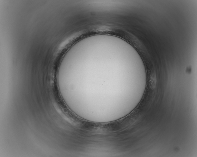 X0000112520732200909071333