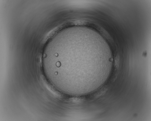 X0000112520733200909071333