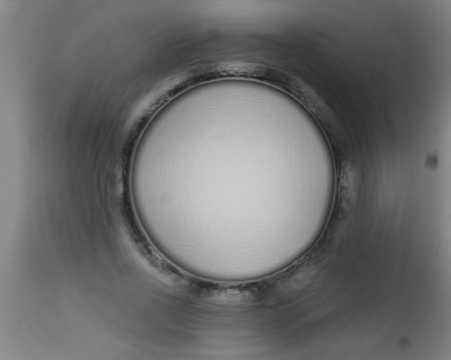 X0000112520734200909071333