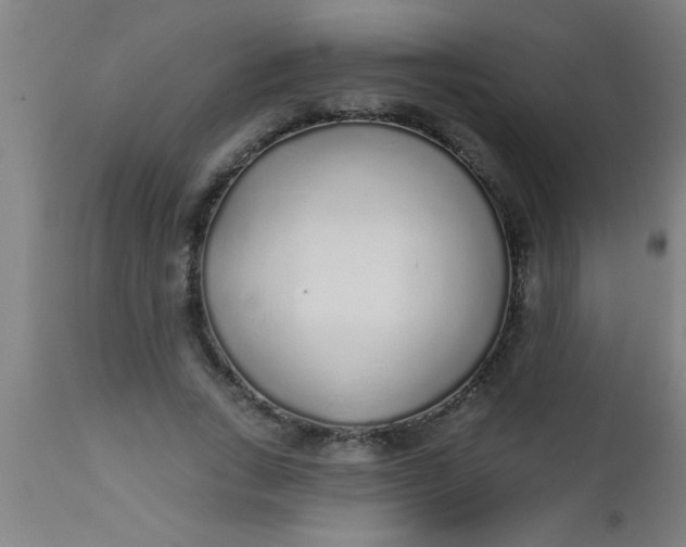 X0000112520735200909071333