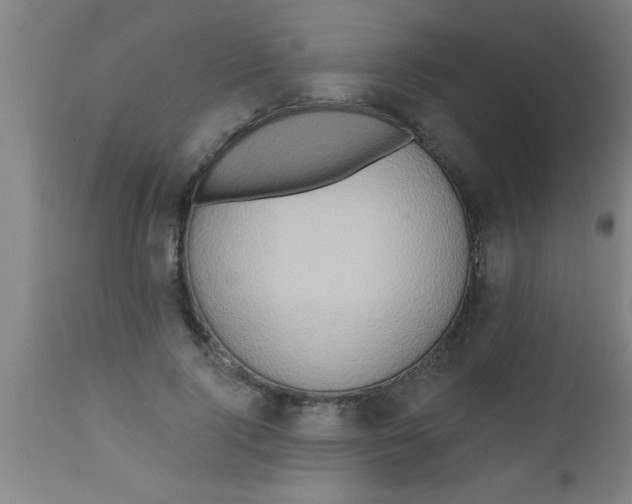 X0000112520740200909071333