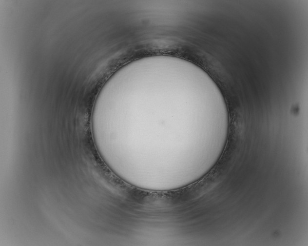 X0000112520745200909071333