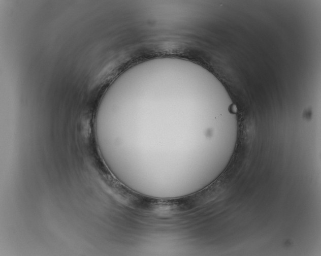 X0000112520746200909071333