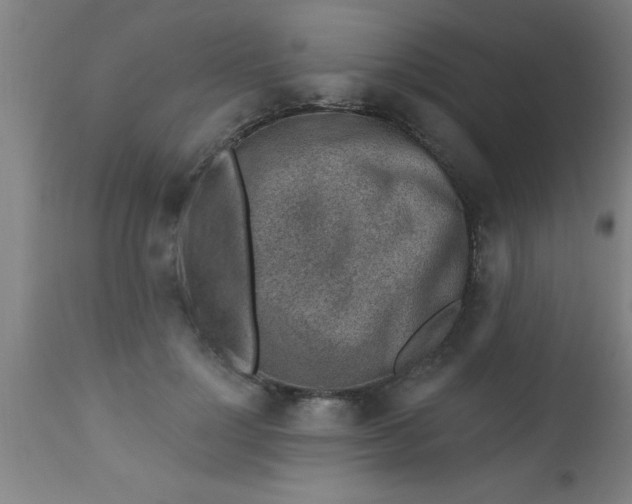 X0000112520748200909071333