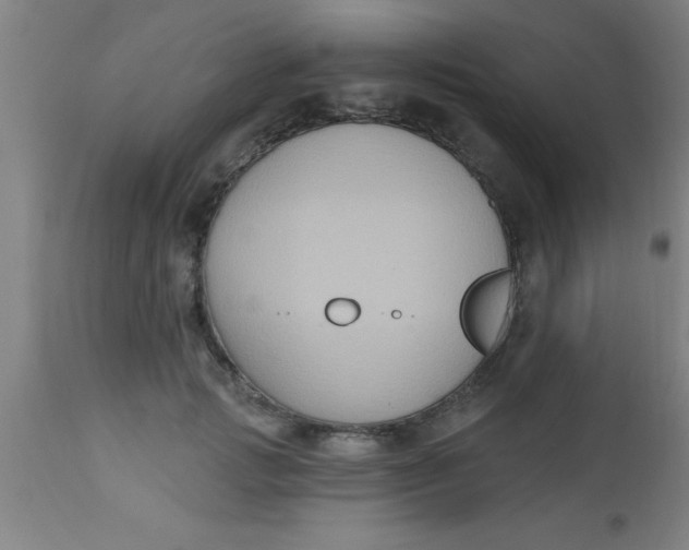 X0000112520749200909071333