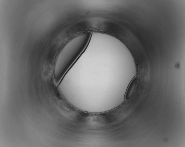 X0000112520752200909071333
