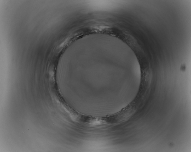 X0000112520754200909071333