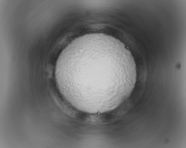 X0000112520758200909071333