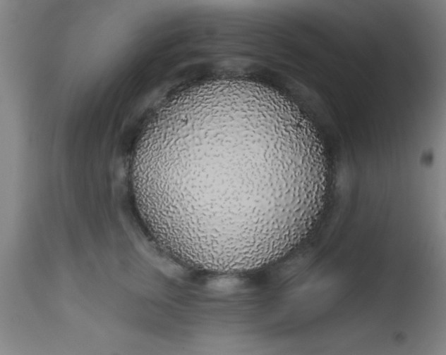 X0000112520759200909071333