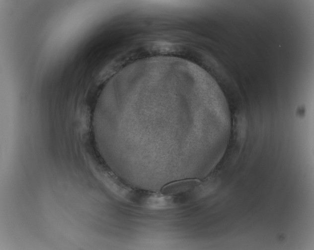 X0000112520760200909071333
