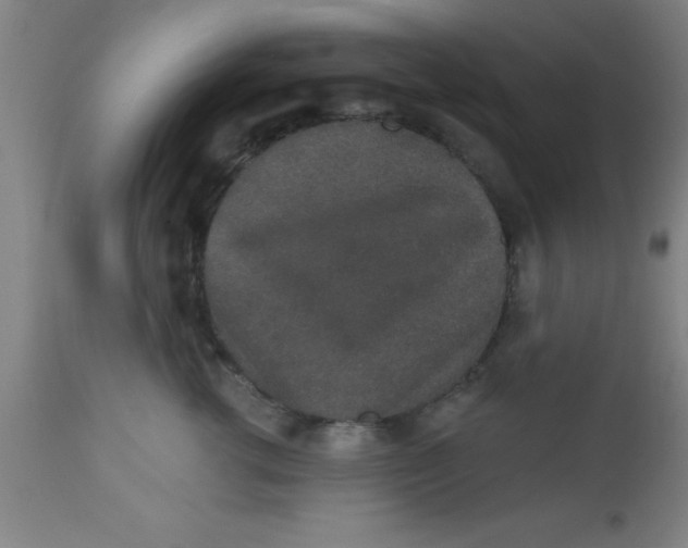X0000112520762200909071333