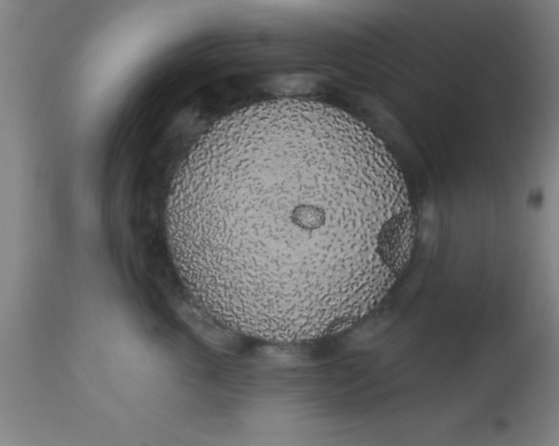 X0000112520763200909071333