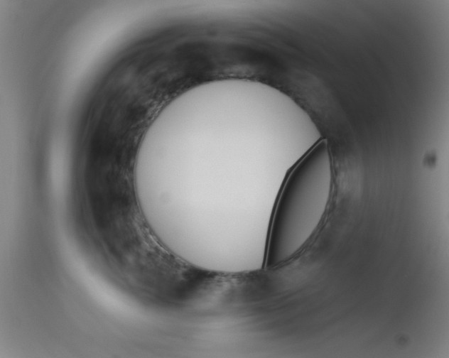 X0000112520764200909071333