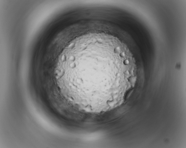 X0000112520765200909071333