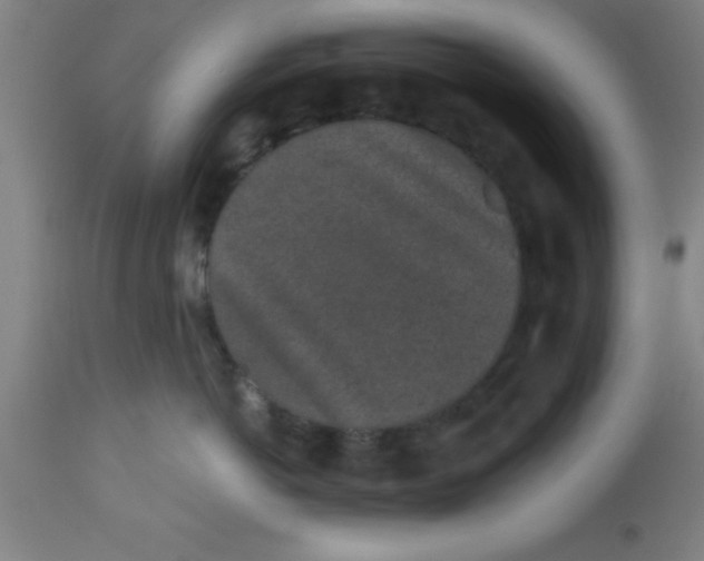 X0000112520766200909071333