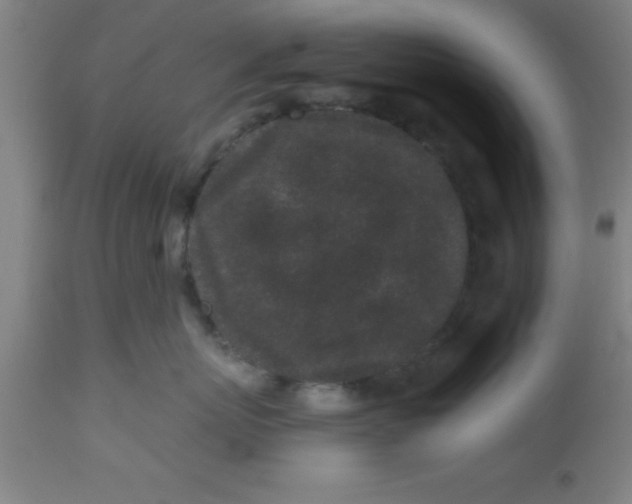 X0000112520767200909071333
