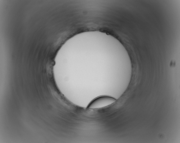 X0000112520768200909071333