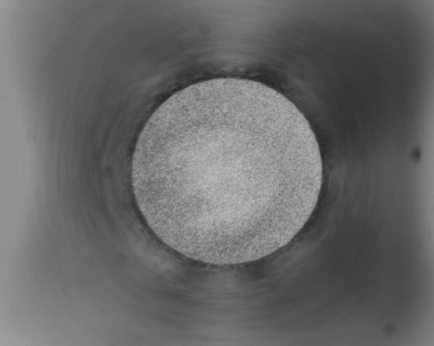X0000112520769200909071332