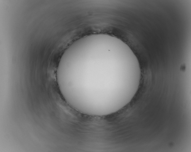 X0000112520770200909071332