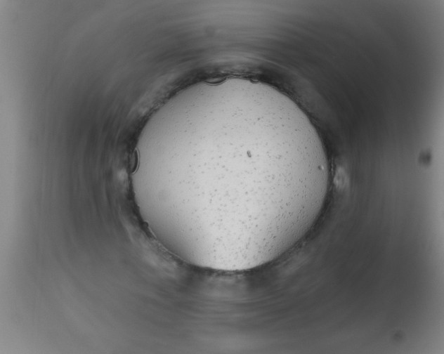 X0000112520771200909071332