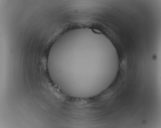 X0000112520772200909071332