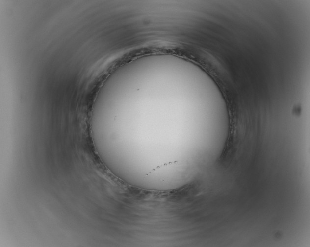 X0000112520773200909071332