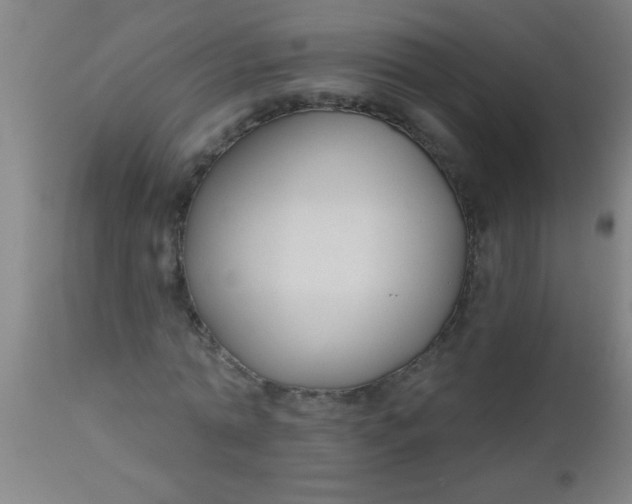 X0000112520774200909071332