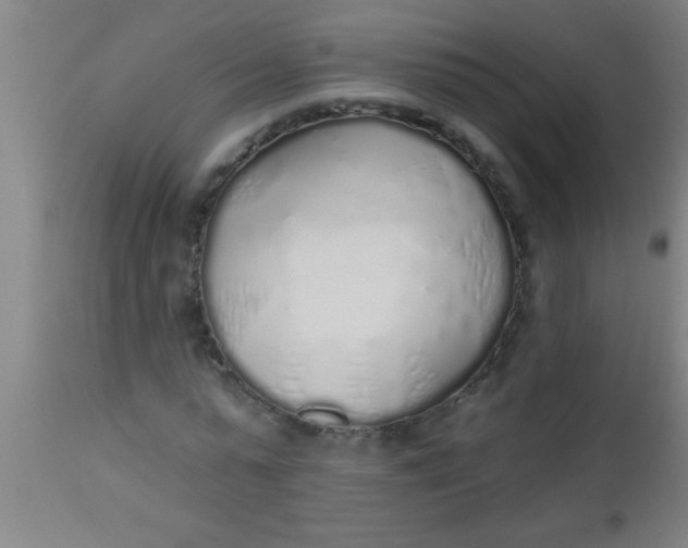 X0000112520775200909071332