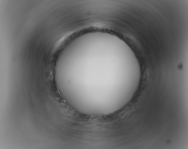 X0000112520776200909071332