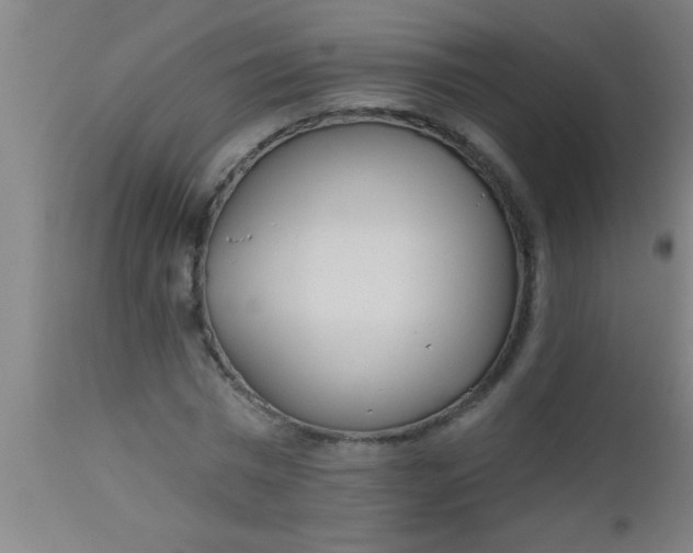 X0000112520777200909071332