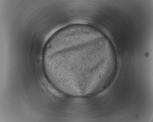 X0000112520779200909071332