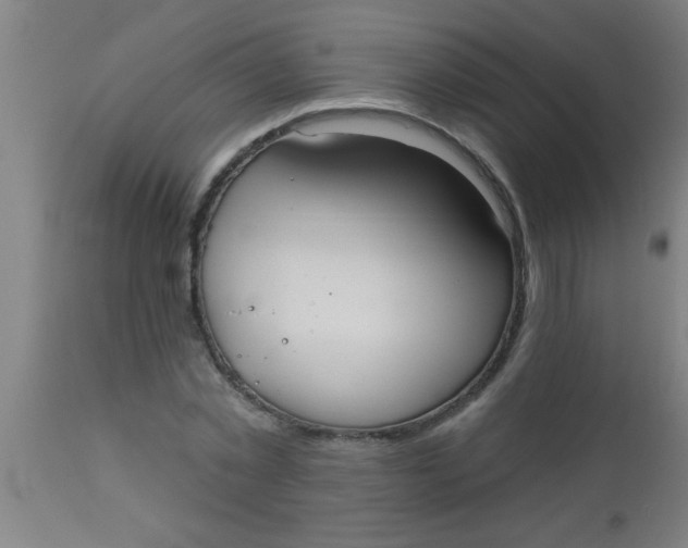 X0000112520781200909071332