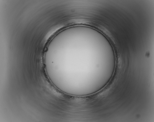 X0000112520782200909071332