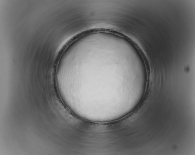 X0000112520783200909071332