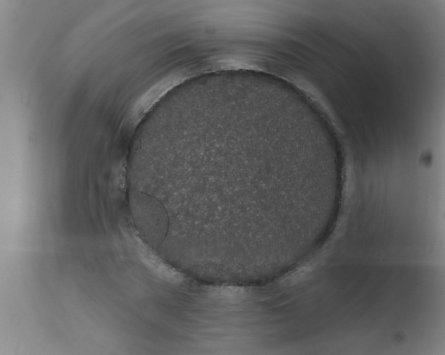 X0000112520785200909071332